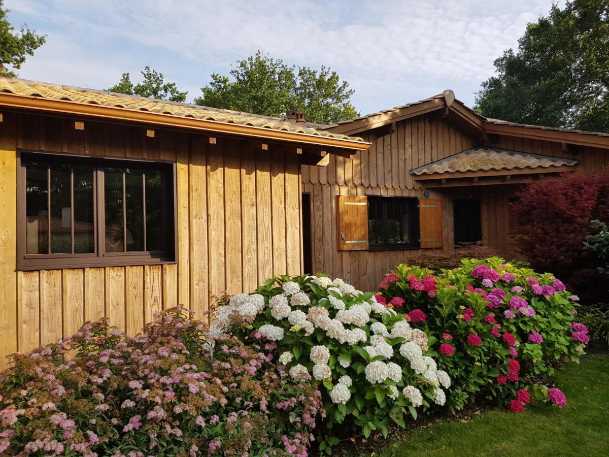 Holiday home Salamandre Et Hippocampe