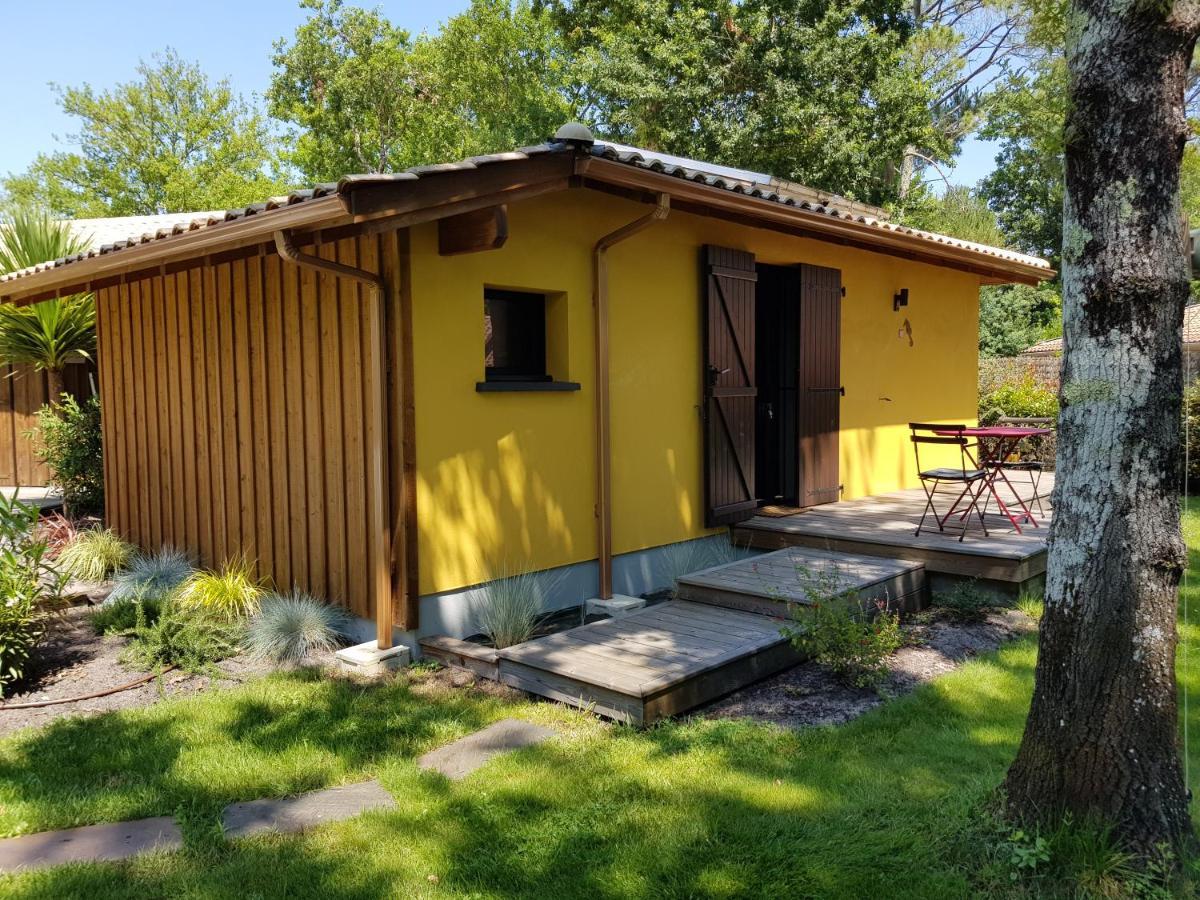 Salamandre Et Hippocampe Holiday home