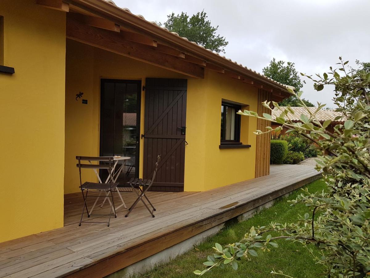 Salamandre Et Hippocampe Holiday home