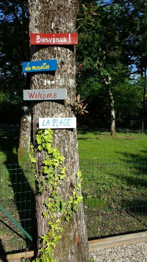 Salamandre Et Hippocampe Holiday home *