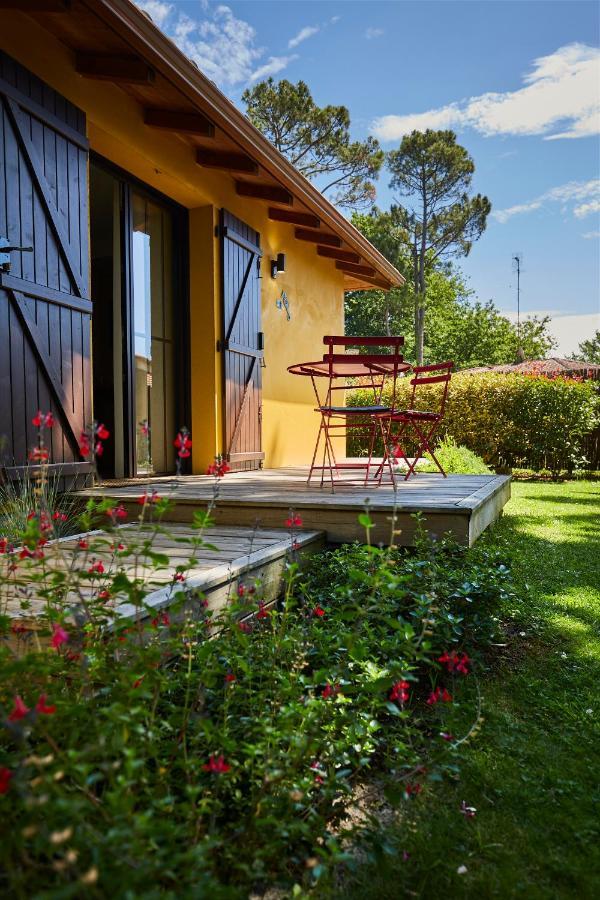 Salamandre Et Hippocampe Holiday home